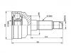 球笼修理包 CV Joint Kit:G024-25-500