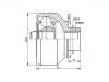 Juego de articulación, árbol de transmisión CV Joint Kit:A100J20362